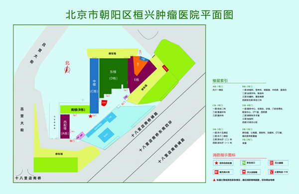 艹逼啊啊啊北京市朝阳区桓兴肿瘤医院平面图